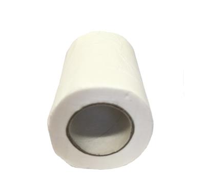 Biodegradable Toilet Tissue - 2 Rolls 